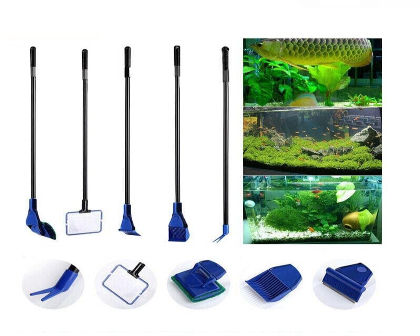 5 in 1 planted kit