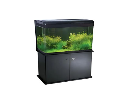 Imported tank - 800 EL 2.5ft 80b