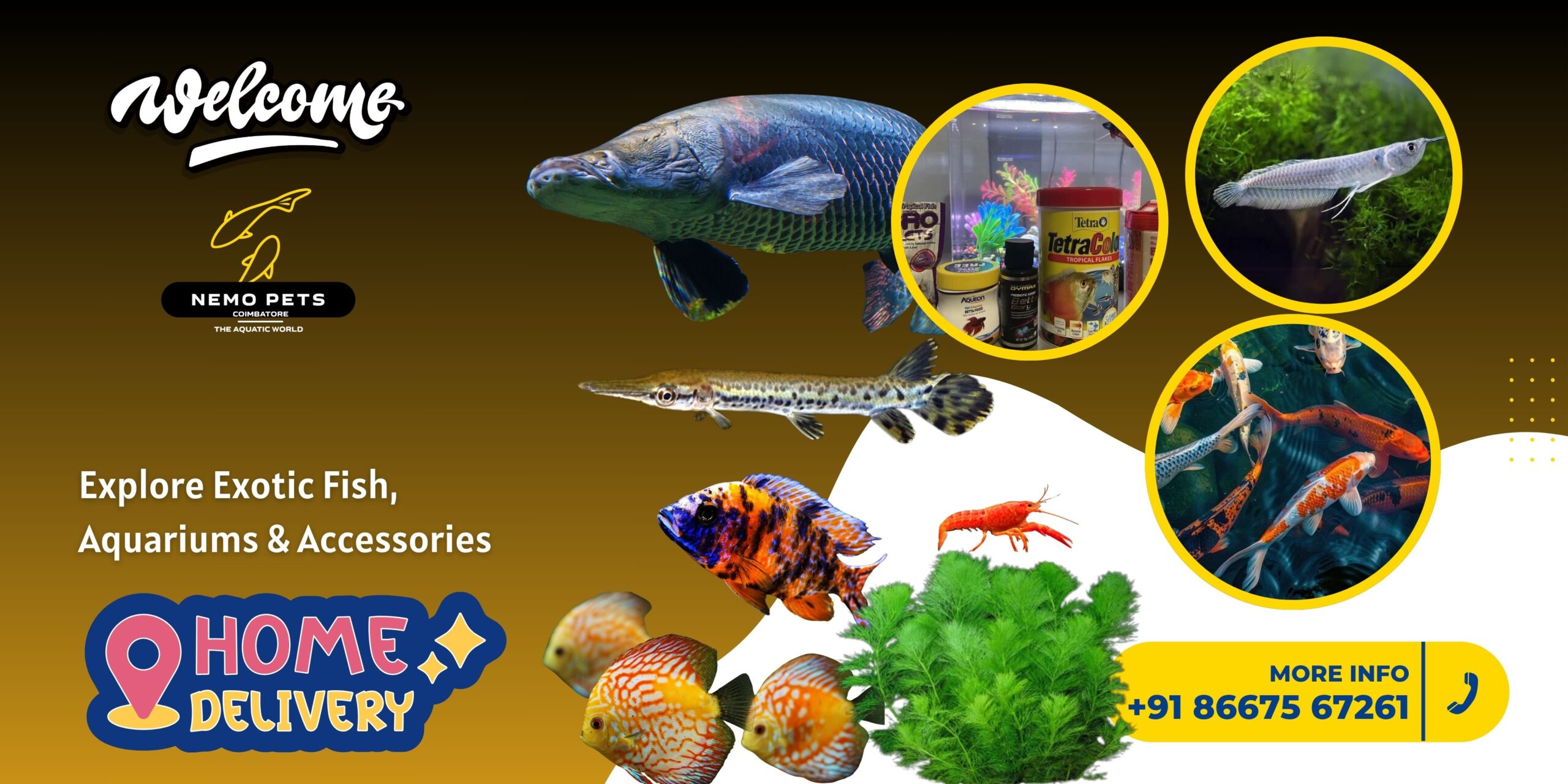 Welcome to nemo pets