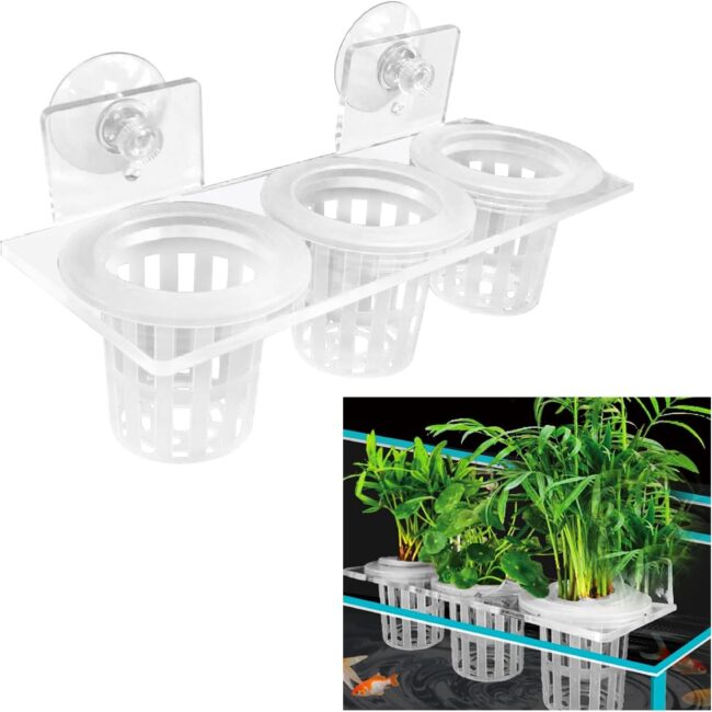 Aquarium Plant Holder Cup