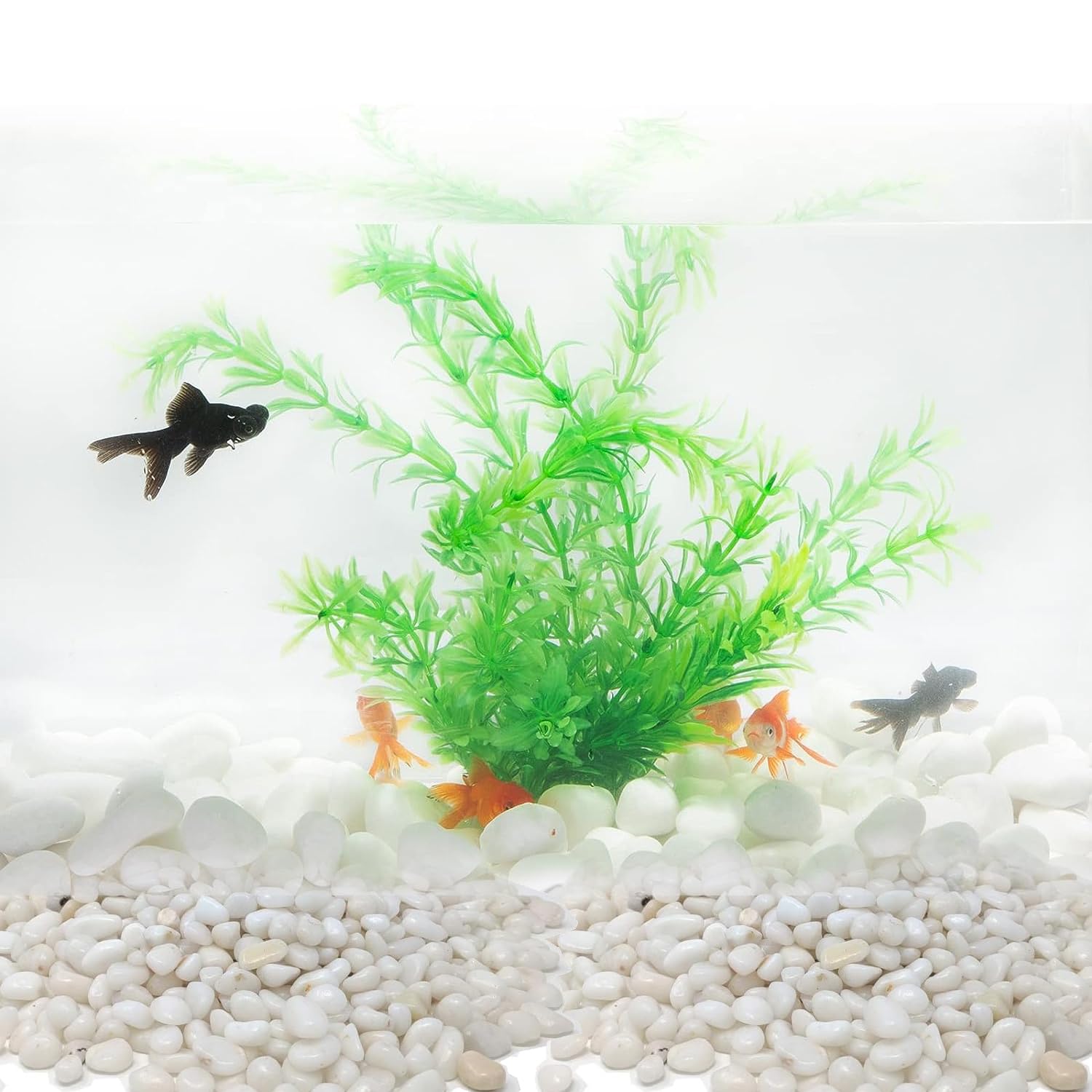 Polist White Stone - Image 2